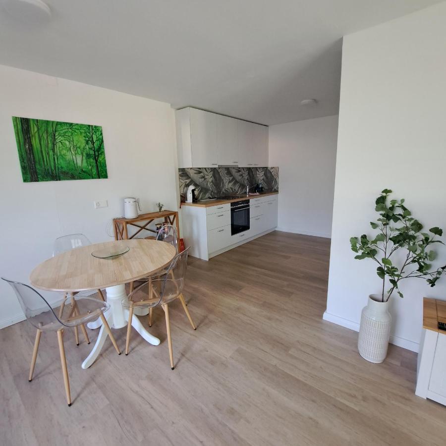 Ferienwohnung Muota Muotathal Ngoại thất bức ảnh
